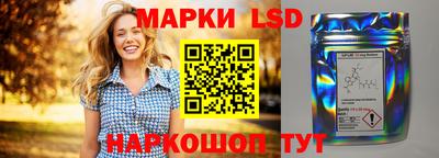 Альфа ПВП Малгобек