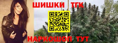 Альфа ПВП Малгобек
