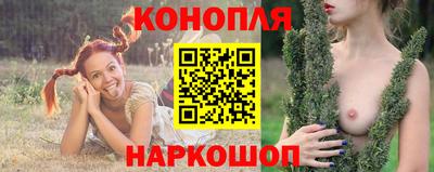 Альфа ПВП Малгобек