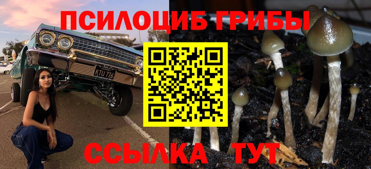 Балашов  Галлюциногенные грибы прущие грибы  Вход с VPN 