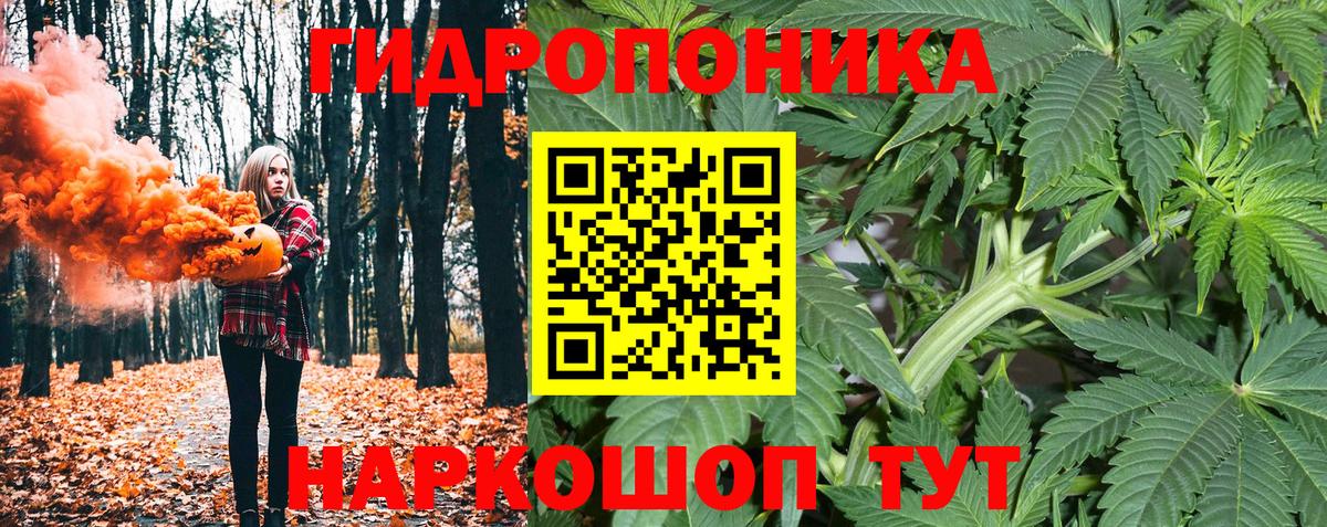 Шишки марихуана OG Kush Балашов